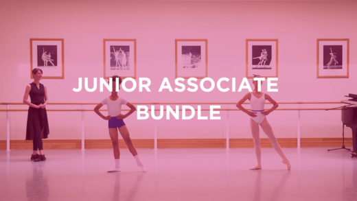 Junior Associate Programme insight bundle