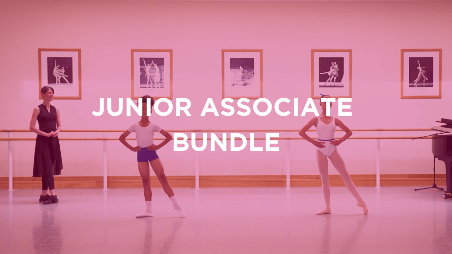 Junior Associate Programme insight bundle
